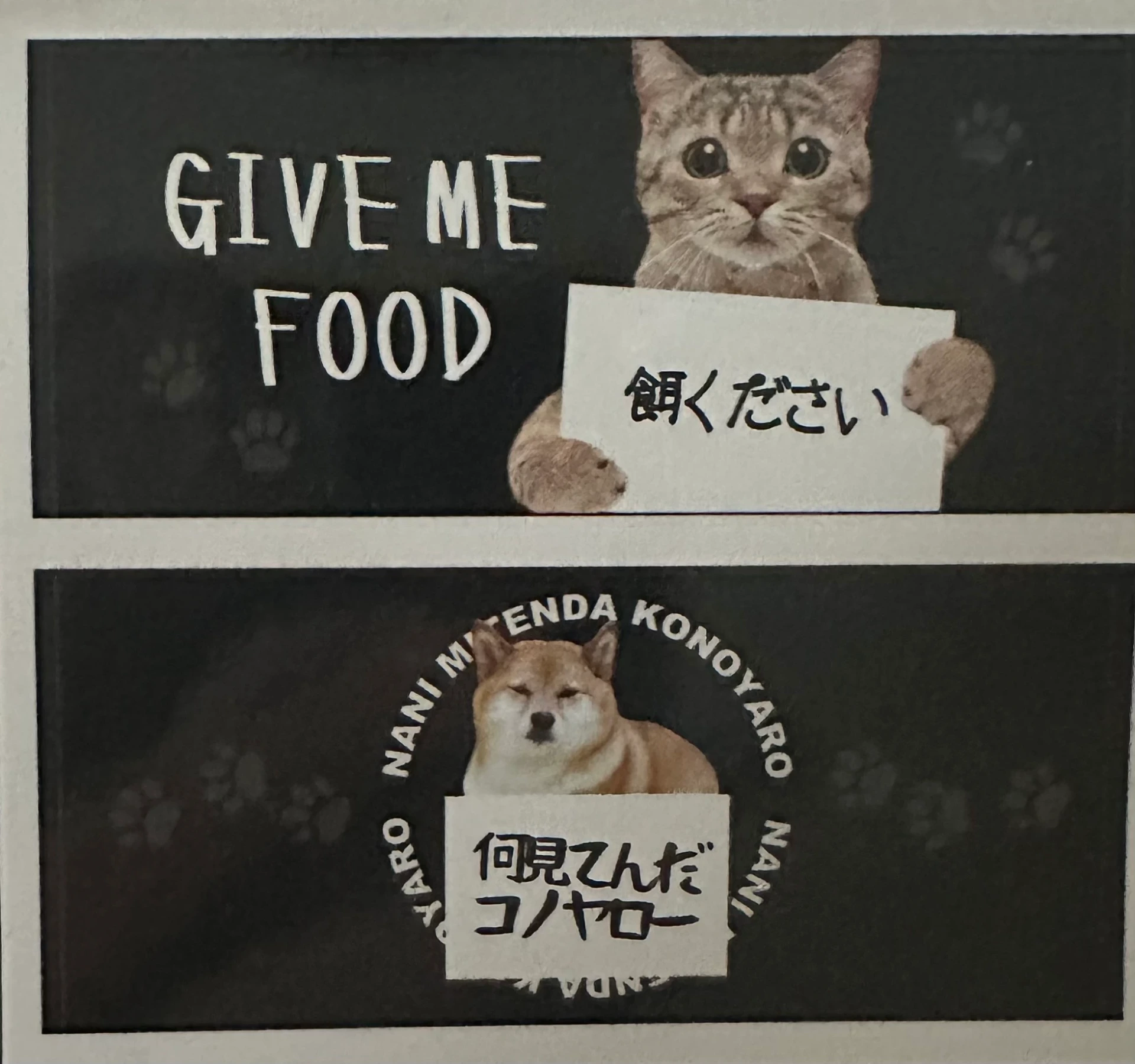 [M423098RD] Serviettes visage (chat/chien)- lot de 2 - 34X80 cm - Resoxy 'Variety Series'